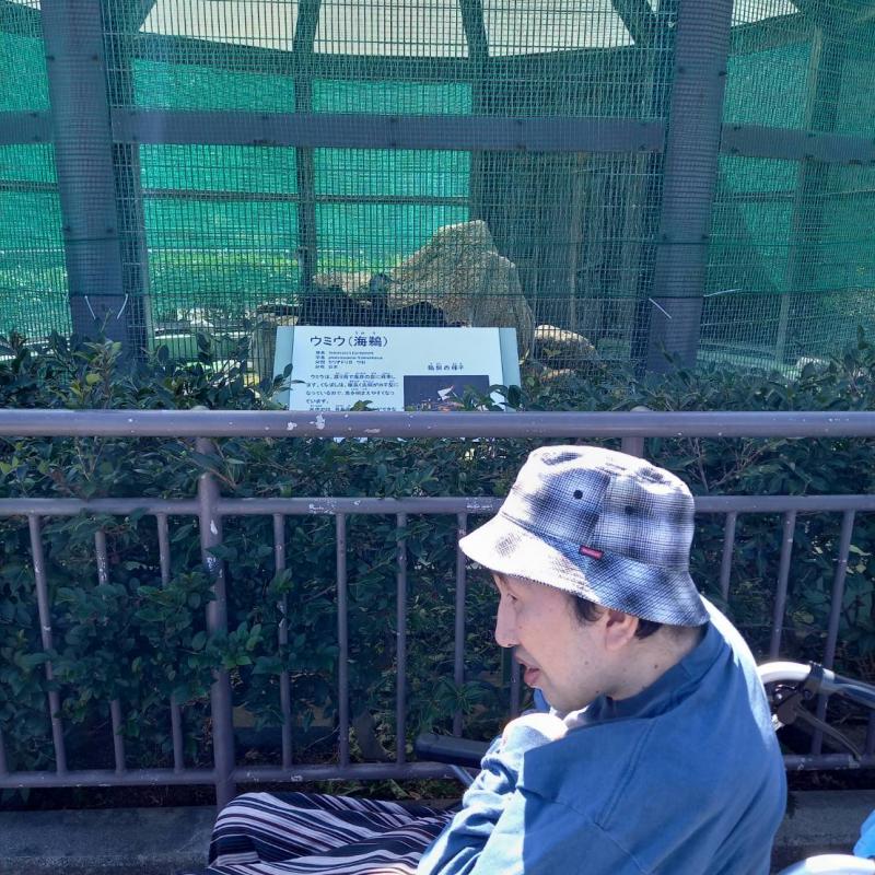 鵜のなき声に耳を傾けています