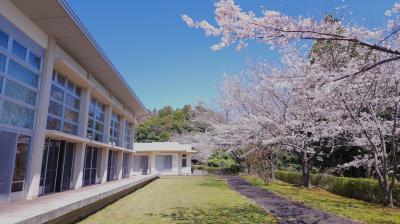春爛漫！笑顔あふれるお花見会を開催しました