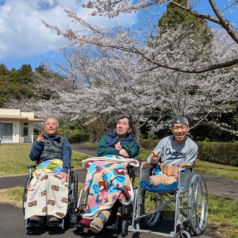 春爛漫！笑顔あふれるお花見会を開催しました