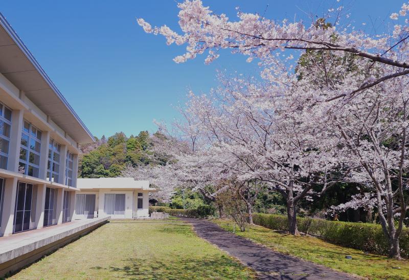春爛漫！笑顔あふれるお花見会を開催しました