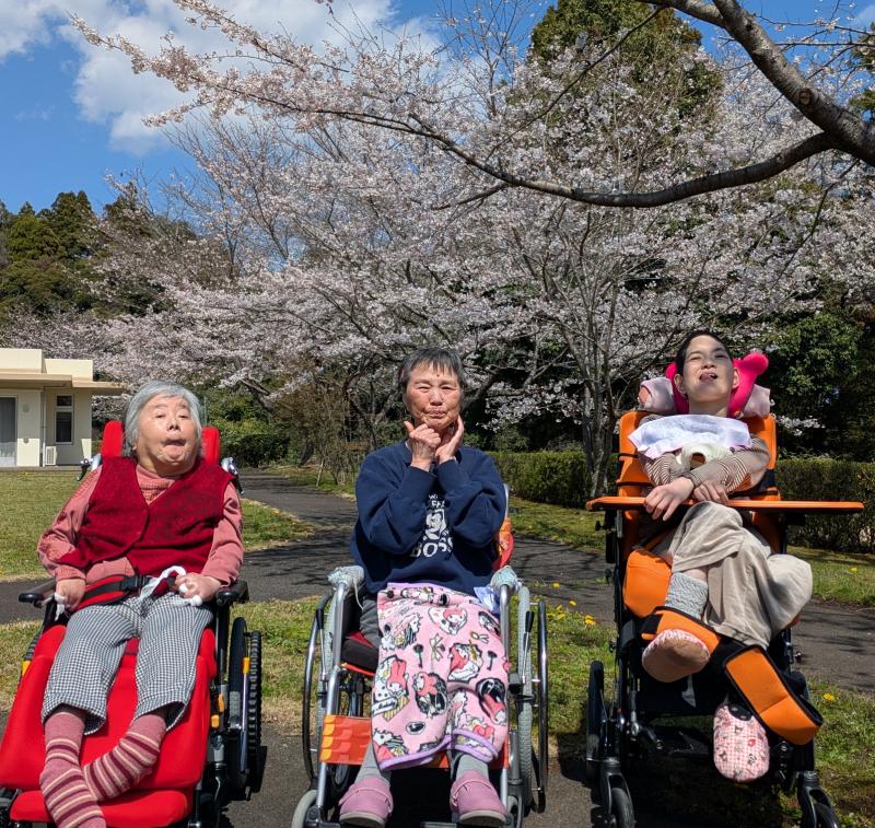春爛漫！笑顔あふれるお花見会を開催しました