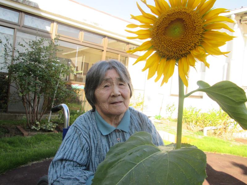 お顔より大きなひまわりを抱いて…