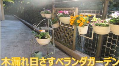 ベランダガーデニング冬バージョン　in　南町2丁目