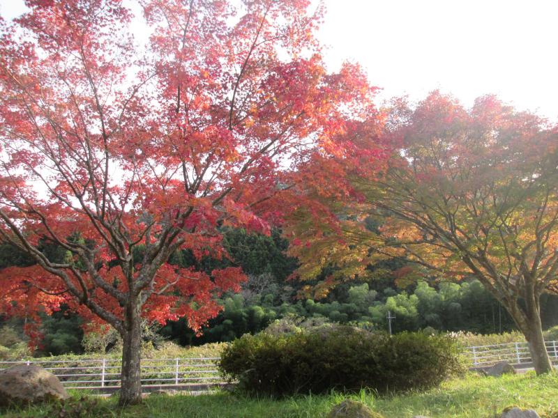 花貫渓谷は紅葉の季節が美しい高萩市の名所の一つ