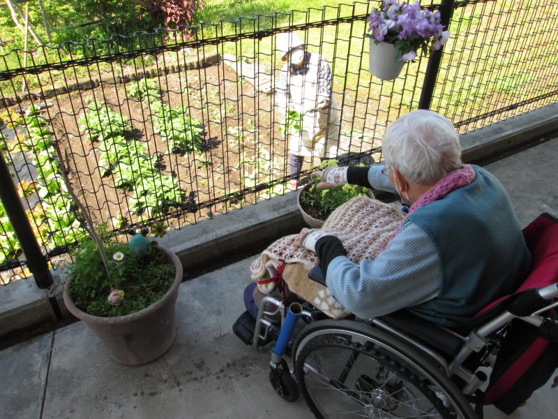 ユニット菜園でプチ自給自足9