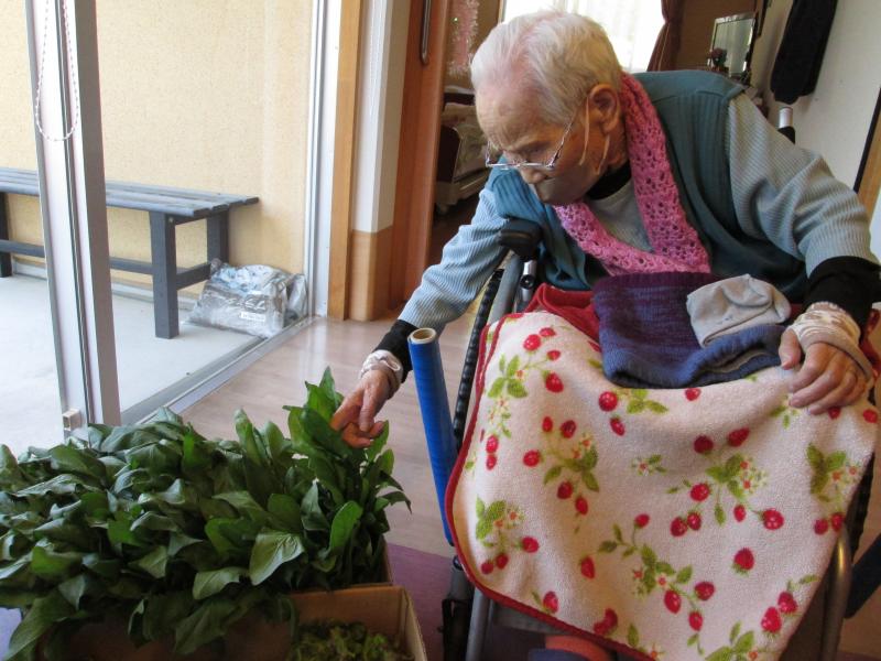 ユニット菜園でプチ自給自足9