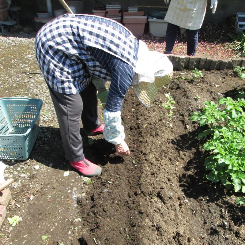 ユニット菜園でプチ自給自足9