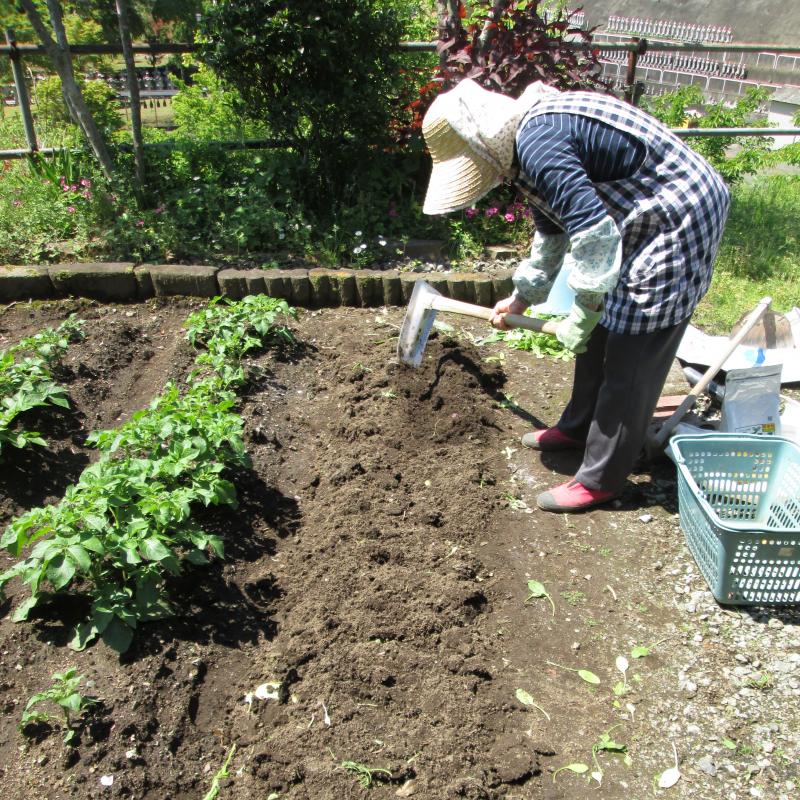 ユニット菜園でプチ自給自足9