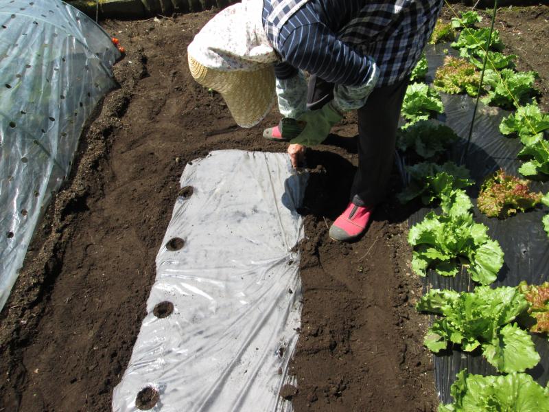 ユニット菜園でプチ自給自足9