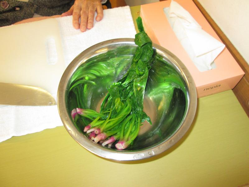 ユニット菜園でプチ自給自足9