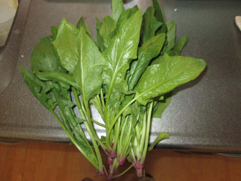 ユニット菜園でプチ自給自足9