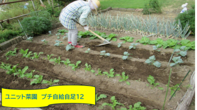 ユニット菜園　プチ自給自足１２