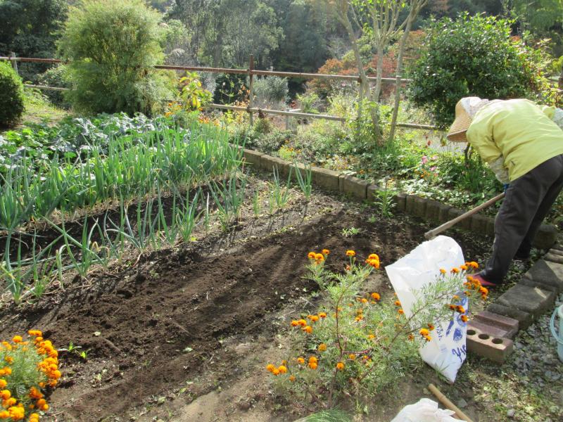 『ユニットプチ菜園　１３』