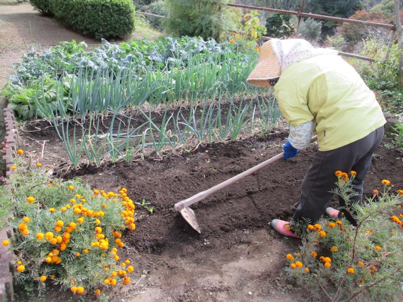 『ユニットプチ菜園　１３』
