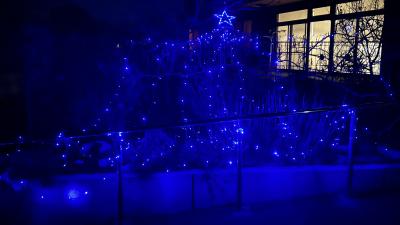 サテライトイルミネーション　２０２５