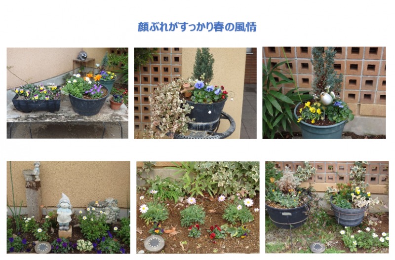 松籟荘ガーデニング　２０２６　春　玄関前広場