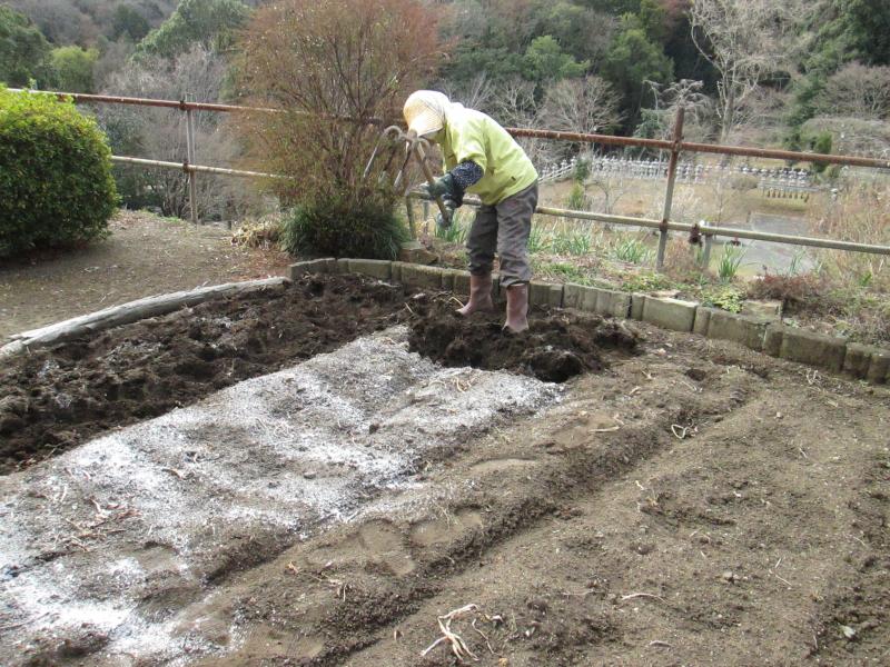 西町プチユニット菜園 15