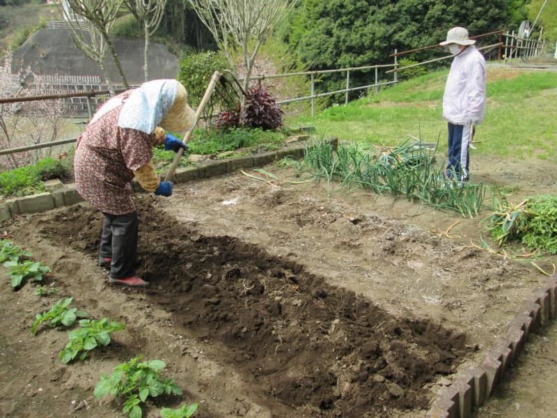 西町プチユニット菜園　１６