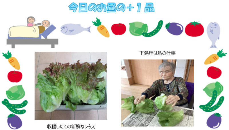 プチユニット菜園17