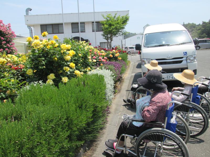 バラドライブ　２０２６．５