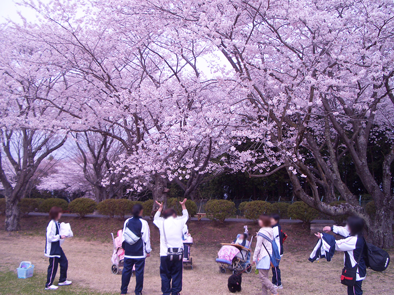 4月 お花見